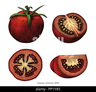 Tomatoes hand draw vintage clip art isolated on white background Stock Vector