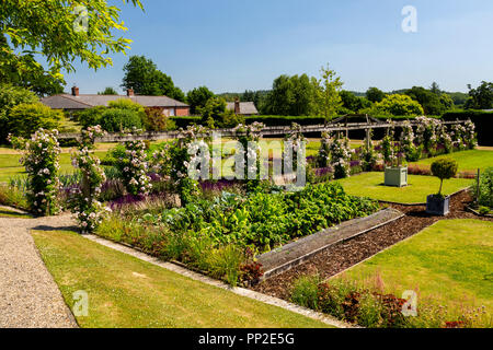 Climbing roses on a pergola and a vegetable garden inside the Walled Garden at Castle Hill House and Gardens, near Filleigh, Devon, England, UK Stock Photo