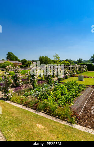 Climbing roses on a pergola and a vegetable garden inside the Walled Garden at Castle Hill House and Gardens, near Filleigh, Devon, England, UK Stock Photo