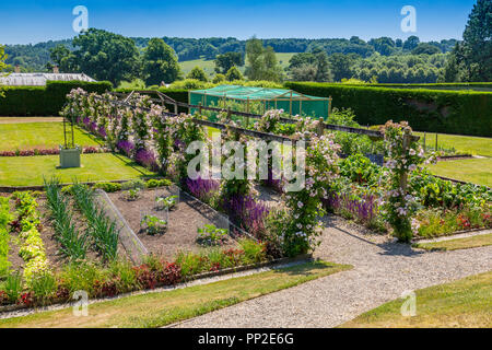 Climbing roses on a pergola and a vegetable garden inside the Walled Garden at Castle Hill House and Gardens, near Filleigh, Devon, England, UK Stock Photo