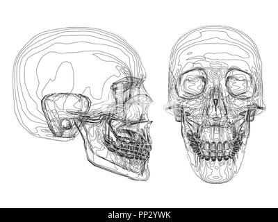 Vector illustration of abstract skull consisting of strips. Stock Vector