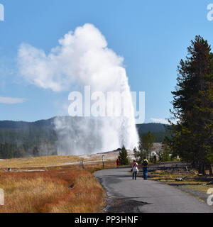 An eruption of Old Faithful Geyser with tourists watching from a path in the foreground, Yellowstone National Park, Wyoming, USA Stock Photo
