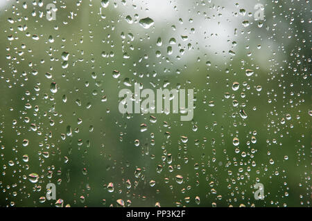 Raindrops on window with green blurred background. Stock Photo