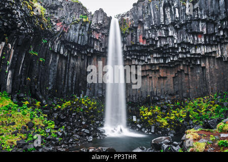 Famous Svartifoss waterfall. Another named Black fall. Located in Skaftafell, Vatnajokull National Park, Iceland Stock Photo