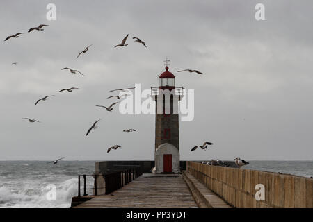Seagulls in flight around old lighthouse before a winter storm Stock Photo
