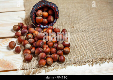 hazelnut lies on a wooden background of large nuts. Stock Photo