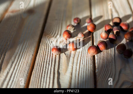 hazelnut lies on a wooden background of large nuts. Stock Photo