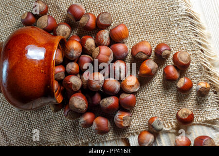 hazelnut lies on a wooden background of large nuts. Stock Photo