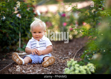 Cute little baby boy, sitting in flower garden, enjoying the flowers on sunset, summertime Stock Photo