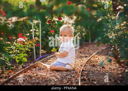 Cute little baby boy, sitting in flower garden, enjoying the flowers on sunset, summertime Stock Photo