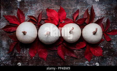 Happy Thanksgiving. Pumpkins and fallen leaves on dark retro background. Autumn and seasonal decorations. Thanksgiving Holiday still life. Stock Photo