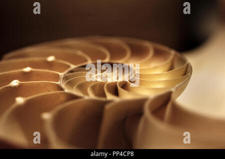 A half nautilus shell in brown and yellow sepia tones in soft focus. Stock Photo