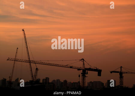 Many construction cranes still working under the impressive evening sky Stock Photo