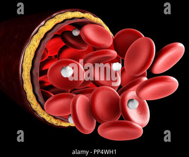 Realistic detailed 3d normal blood flow Royalty Free Vector