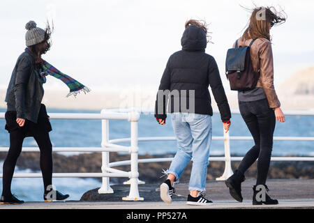 Aberystwyth, Wales, UK. Sunday 23rd Sept 2018.   UK Weather:  People walking along the promenade are windswept buffeted by the strong winds on a sunny but  blustery Equinox Sunday afternoon in Aberystwyth on the west wales coast.  Today is the last day of Astronomical Summer - when the days and night are of equal lengths. From tomorrow the nights are longer than the days, marking  the onset of Astronomical Winter in the northern hemisphere Photo © Keith Morris / Alamy Live News Stock Photo