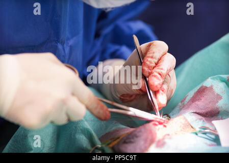 detail of a surgical operation in the surgical room of a hospital Stock Photo