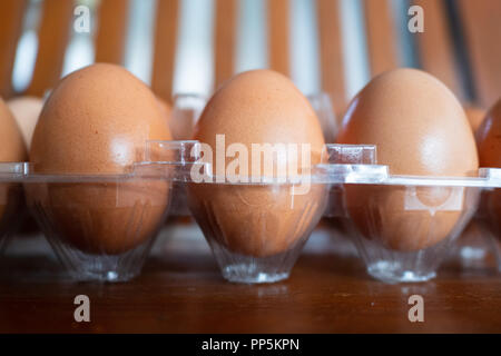 Chicken eggs in a plastic pack Stock Photo