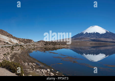 Snow capped Parinacota Volcano, 6,324m high, reflected in Lake Chungara on the Altiplano of northern Chile. Stock Photo