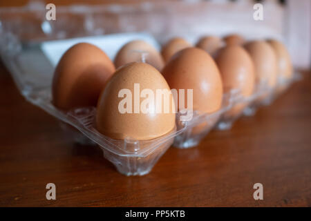 Chicken eggs in a plastic pack Stock Photo
