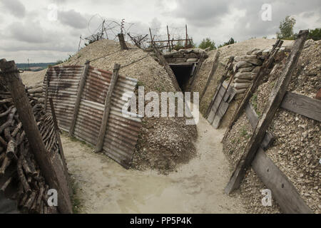 Trench with barbed wire entanglements used during the First World War in the Main de Massiges in Marne region in north-eastern France. The Main de Massiges was one of the major sites of the First World War from 1914 to 1918. The trench of German origin was conquered by the 23rd Colonial Infantry Regiment of the French Army on 25 September 1915 and was the first line of French defence from September to October 1915. Trenches and barbed wire entanglements in the area are restored by the Main de Massiges Association since 2009. Stock Photo