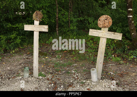 Cenotaphs to French soldiers fallen during the First World War in the shape of wooden crosses covered with French helmets in the Main de Massiges in Marne region in north-eastern France. The Main de Massiges was one of the major sites of the First World War from 1914 to 1918. The area is restored using the original artefacts found in the ground by the Main de Massiges Association since 2009. Stock Photo