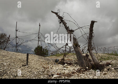 Barbed wire entanglements in front of the trench used during the First World War in the Main de Massiges in Marne region in north-eastern France. The Main de Massiges was one of the major sites of the First World War from 1914 to 1918. The trench of German origin was conquered by the 23rd Colonial Infantry Regiment of the French Army on 25 September 1915 and was the first line of French defence from September to October 1915. Trenches and barbed wire entanglements in the area are restored by the Main de Massiges Association since 2009. Stock Photo