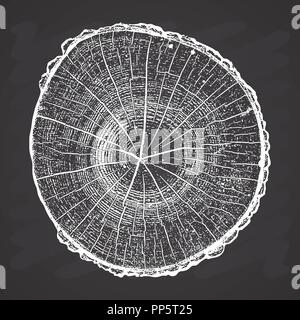 Tree log, wood growth rings grunge texture vector illustration on chalkboard background. Stock Vector