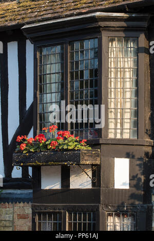 Close-up of St Mary's Cottage, a 16th century timber-framed house in Church lane, Ely, Cambridgeshire
