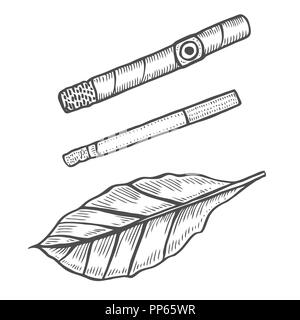 Cigars and leave of tobacco. Smoking set. Sketch engraving style. Stock Vector