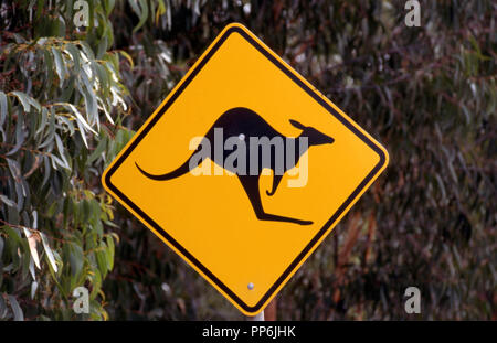 ROAD SIGN, NEW SOUTH WALES, WARNING DRIVERS THAT KANGAROOS CROSS THIS SECTION OF ROAD. AUSTRALIA Stock Photo