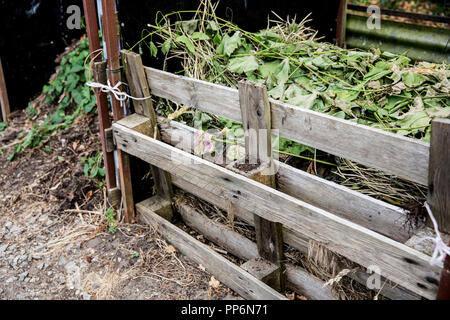 Compost heap constructed form wooden pallets in allotment. Stock Photo