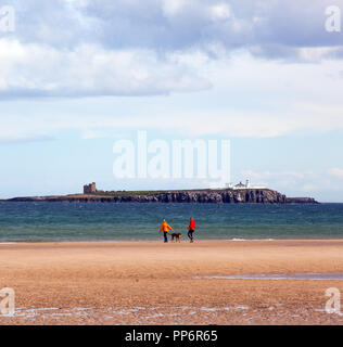 Man and woman walking their dog along the beach at Bamburgh  Northumberland England UK with the Farne Islands in the back ground Stock Photo