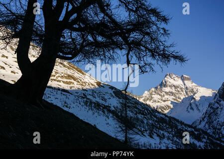 monte Viso, 3841 mts, Valle del Guil,Alpes,parque natural Queyras,Francia-Italia, Europa. Stock Photo