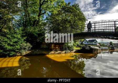 Bridgewater Canal, Worsley. 24th Sept 2018. UK Weather: Beautiful scenes around the Bridgewater Canal in Worsley, Greater Manchester as the start of Autumn brings out the wonderful golden colours of the season. Picture by Paul Heyes, Monday August 24, 2018. Credit: Paul Heyes/Alamy Live News Stock Photo