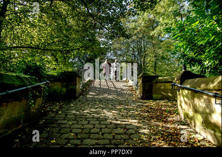 Bridgewater Canal, Worsley. 24th Sept 2018. UK Weather: Beautiful scenes around the Bridgewater Canal in Worsley, Greater Manchester as the start of Autumn brings out the wonderful golden colours of the season. Picture by Paul Heyes, Monday August 24, 2018. Credit: Paul Heyes/Alamy Live News Stock Photo