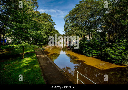 Bridgewater Canal, Worsley. 24th Sept 2018. UK Weather: Beautiful scenes around the Bridgewater Canal in Worsley, Greater Manchester as the start of Autumn brings out the wonderful golden colours of the season. Picture by Paul Heyes, Monday August 24, 2018. Credit: Paul Heyes/Alamy Live News Stock Photo