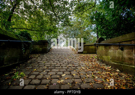 Bridgewater Canal, Worsley. 24th Sept 2018. UK Weather: Beautiful scenes around the Bridgewater Canal in Worsley, Greater Manchester as the start of Autumn brings out the wonderful golden colours of the season. Picture by Paul Heyes, Monday August 24, 2018. Credit: Paul Heyes/Alamy Live News Stock Photo