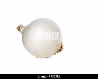 White onion (Allium cepa) isolated on white background with shadow Stock Photo