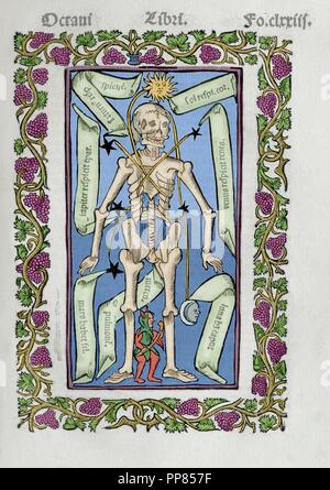Ramon Llull (1235-1316). Spanish writer and philosopher.  Practica Compendiosa Artis Raymundi Lulli, 1523. Book 8. Medicine subject. Description of the human skeleton. Colored engraving. Stock Photo