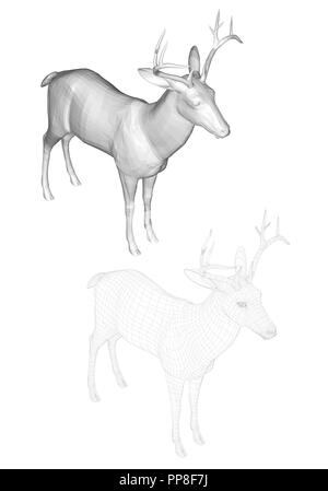 Vector illustration of roe deer, isometric view. Two deer with polygonal and reticulated 3D. Stock Vector