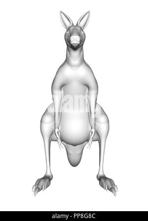 Polygonal kangaroo. 3D. Front view. Vector illustration. Stock Vector