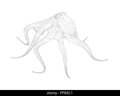 Vector illustration of 3d octopus isolated on white background. The outline of a polygonal octopus. Stock Vector