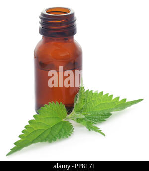 Nettle leaves with extract in a bottle over white background Stock Photo