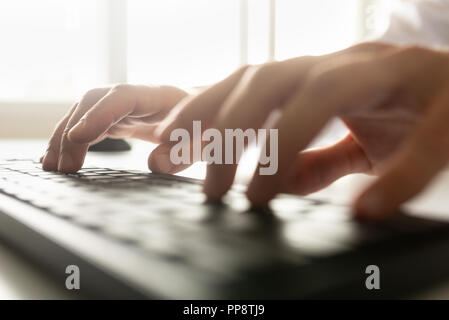 Low angle view of a businessman typing on a computer keyboard with a bright light flare coming in through a window over his hands. Stock Photo