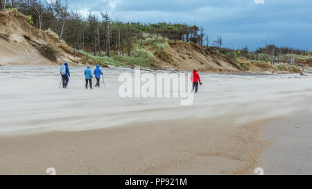 Walkers battle against a sand storm on Llanddwyn beach at Newborough, Anglesey, North Wales, UK. Taken on 21st September 2018. Stock Photo