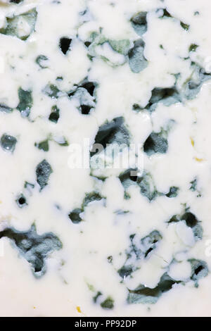 Blue cheese slice macro Stock Photo