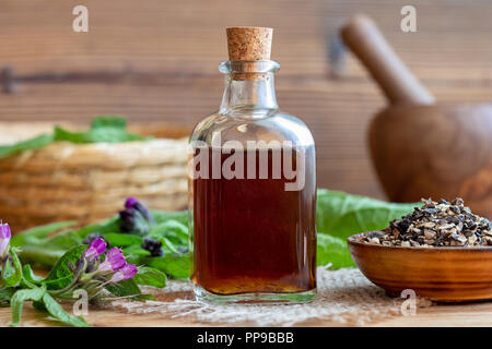 Comfrey tincture with dried root and fresh plant Stock Photo