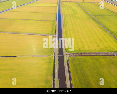 Aerial panorama of the rice fields in Comporta on the Alentejo Coast Stock Photo