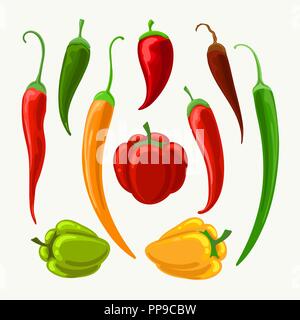 Vector different peppers. Jalapeno and cayenne, paprika and bulgarian papper illustration isolated on white background Stock Vector