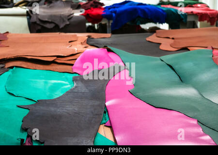 samples of colored cowhides on table in leather workshop Stock Photo